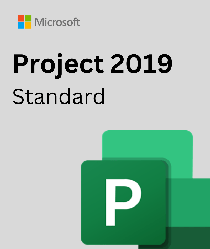 Project 2019 standard Project 2019 standard